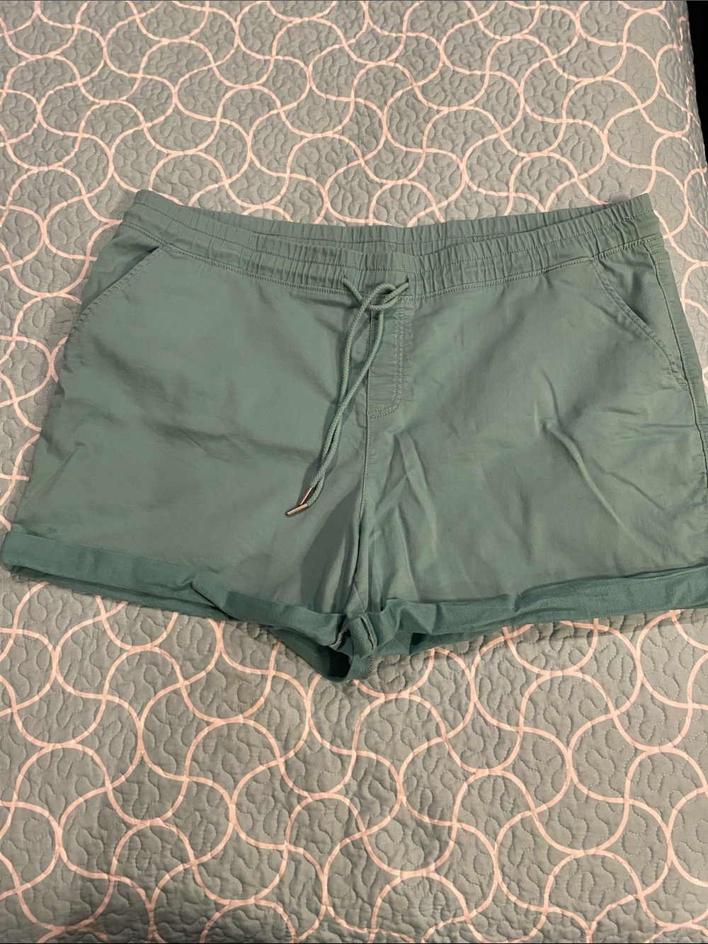 Time and Tru Teal Shorts 22